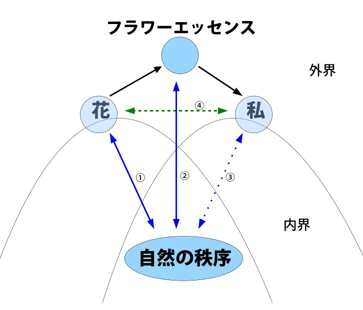 図-1